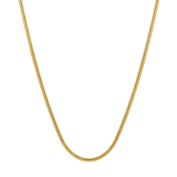 Ritvaa Petal Slim Chain