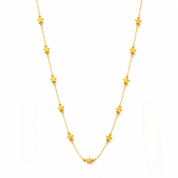 Roohi Chain