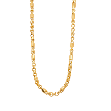 Aneksh Chain