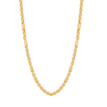 Aneksh Chain
