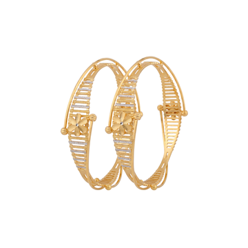 Saanvika Bangles Set