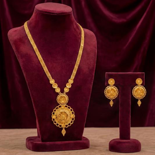 Vipanchi Long Set