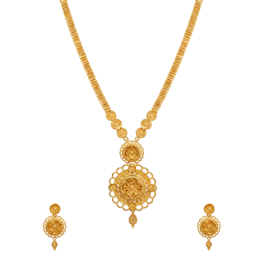 Vipanchi Long Set