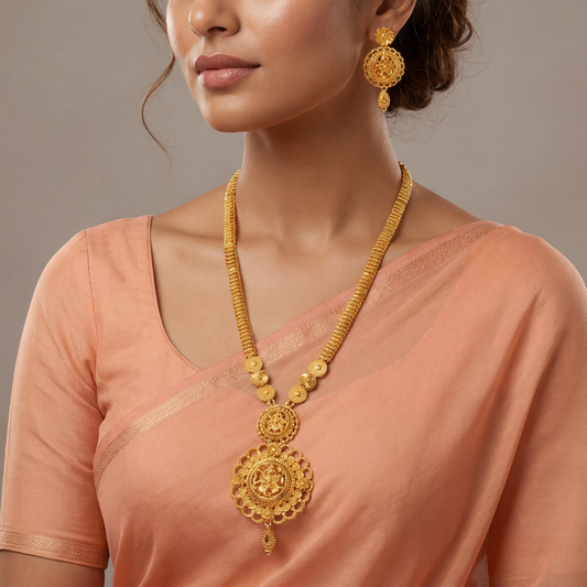 Vipanchi Long Set